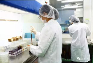 完美构筑严谨的产品售后质量管理体系在互联网销售中的应用