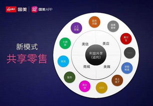 国美App 迟到的互联网销售探索与错失的市场机遇